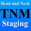 Head & Neck TNM Staging