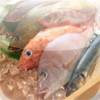 All SeaFood Recipes