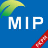 PKPM MIP
