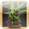 Puz-ZEN-le Zen Puzzle Game (iPad Version)