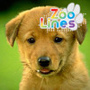 Zoo Lines