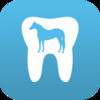 Dental Horse