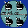 rabbit memory