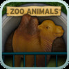 Zoo Animal Sounds