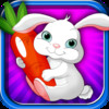 A Rabbit Fun Carrot Collect - Backyard Runner Lawn Pet - Full Version