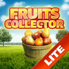 Fruits Collector HD Lite
