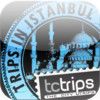 Trips in Istanbul