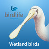 Wetland Birds Field Guide