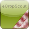eCropScout