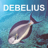 Helmut Debelius: Indian Ocean & Red Sea Fish Guide