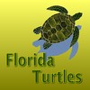 Turtles - Common Species of Florida