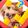 Pic Guesser - Word Game