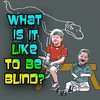 What Is It Like To Be Blind?  - for kids