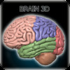 Brain 3D for iPhone