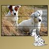 dog puzzle for kids