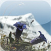 Die bunte Welt der Alpenblumen