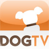 DogTV mobile