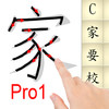 Learn Chinese Mandarin Pro1