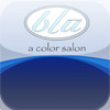 blu a color salon