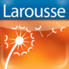 Larousse Dictionary of Synonyms and Antonyms