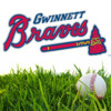 Gwinnett Braves, Minor League Baseball, Atlanta GA