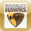 Waverley Park Hawks Junior Football Club