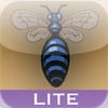 The BeeHive Lite