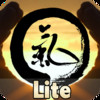 Stunning! Chinese Qigong fitness exercise Lite