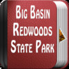 Big Basin Redwoods State Park - USA