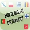 Multilingual Translation Dictionary