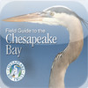 Chesapeake Bay Field Guide
