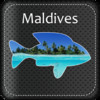 Maldives Quiz Game