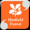 Hatfield Forest