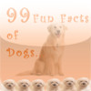 99 Fun Facts of Dogs