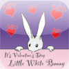 Valentine's Bunny - A Children's Story