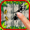 Ant and Bug Smasher Attack: FREE fun tap and smash game