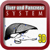 Liver and Pancreas 3D