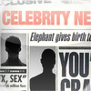 Celebtwin: Celebrity Look Alike Lite