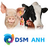DSM ANH Product Support