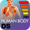HD Human Anatomy Digital Study