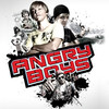 Angry Boys (US)