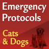 Emergency Protocols: Cats & Dogs Flash Cards
