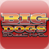 Big Dogs Street Hots