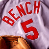 Johnny Bench Official App