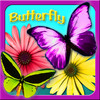 Butterfly School