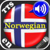High Tech Norwegian vocabulary trainer Application with Microphone recordings, Text-to-Speech synthesis and speech recognition as well as comfortable learning modes.
