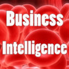 viaNotes Business Intelligence