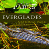 The Everglades National Park Travel App