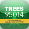 Trees 95014