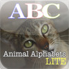 Animal Alphabets Lite